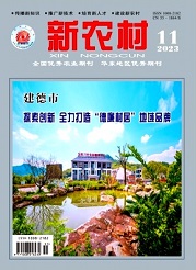 《新农村》