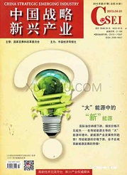 《中国战略新兴产业》