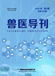 《兽医导刊》