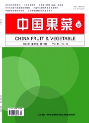 《中国果菜》
