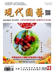 《现代园艺》