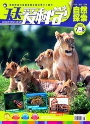 《天天爱科学》