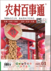  《农村百事通》