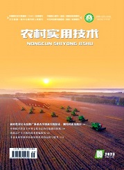《农村实用技术》