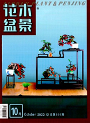 《花木盆景》