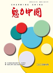  《魅力中国》