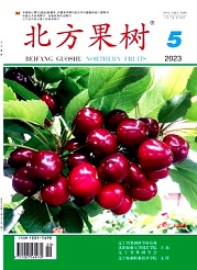 《北方果树》