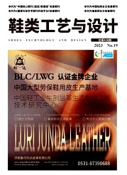 《鞋类工艺与设计》