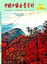  《中国乡镇企业会计》