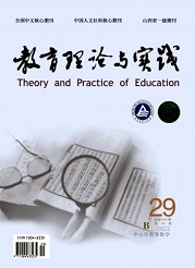 《教育理论与实践》